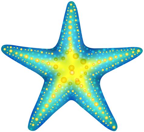 sea star clipart|starfish clip art transparent.